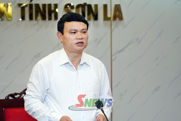 Đồng chí Phó Chủ tịch UBND tỉnh phát biểu tại cuộc làm việc.
