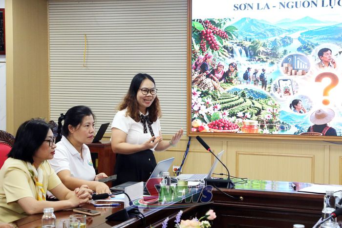 Chuyên gia tư vấn chuyển đổi số trong doanh nghiệp, HTX thông tin tại hội nghị tập huấn.