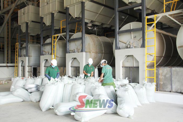 Nhà máy chế biến cà phê của Công ty cổ phần Phúc Sinh Sơn La.