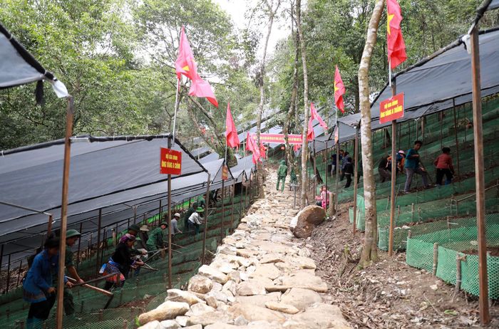 Vườn sâm Ngài Thầu tạo nền tảng hình thành vùng nguyên liệu và mở ra hướng sinh kế lâu dài cho người dân vùng biên.