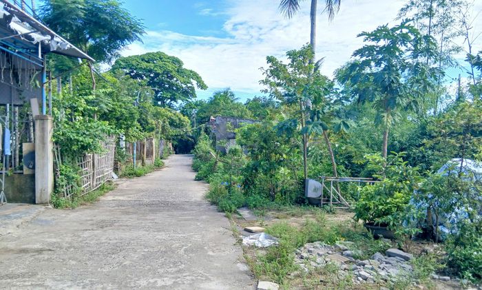  Theo báo cáo của Ban Quản lý dự án Đầu tư xây dựng các công trình giao thông và nông nghiệp Đà Nẵng, đến nay chủ đầu tư cũ đã bàn giao 300/971m (chủ yếu cây cối và tài sản ngoài sông) mặt bằng đoạn cuối tuyến kè và đã triển khai thi công phạm vi này. 