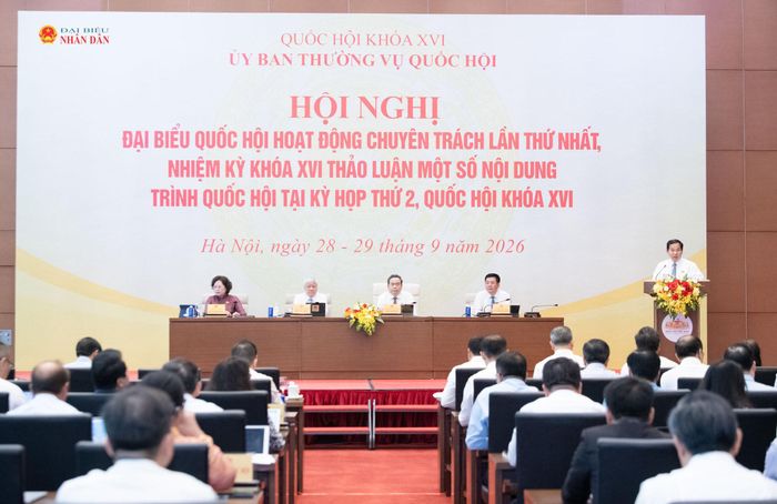 Quang cảnh hội nghị