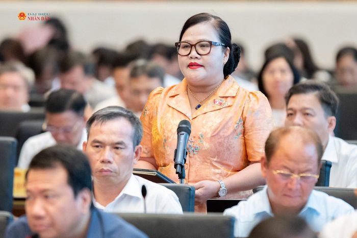 Phó Trưởng đoàn chuyên trách Đoàn ĐBQH TP. Huế Nguyễn Thị Sửu phát biểu. Ảnh: Phạm Thắng