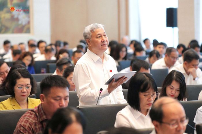 Phó Chủ nhiệm Ủy ban Công tác đại biểu Trần Văn Lâm phát biểu tại phiên họp. Ảnh: Hồ Long