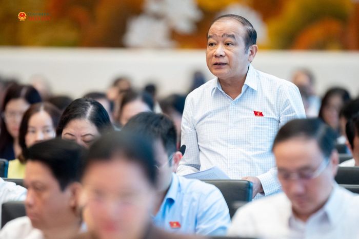 Phó Trưởng đoàn chuyên trách Đoàn ĐBQH TP. Hải Phòng Lã Thanh Tân phát biểu. Ảnh: Phạm Thắng