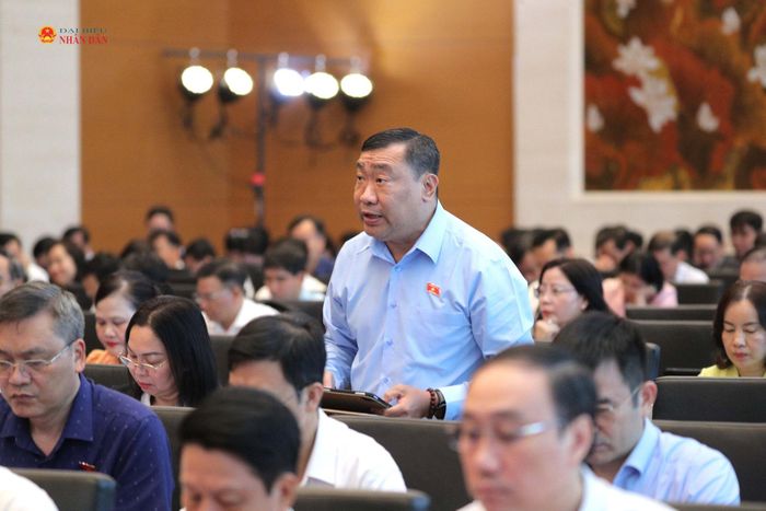 Phó Trưởng đoàn chuyên trách Đoàn ĐBQH tỉnh Vĩnh Long Thạch Phước Bình phát biểu. Ảnh: Hồ Long