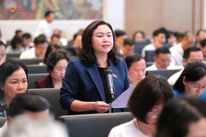 Phó Trưởng đoàn chuyên trách Đoàn ĐBQH tỉnh Phú Thọ Đặng Bích Ngọc phát biểu. Ảnh: Hồ Long