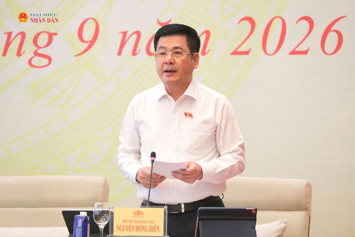 Phó Chủ tịch Quốc hội Nguyễn Hồng Diên điều hành phiên thảo luận. Ảnh: Hồ Long