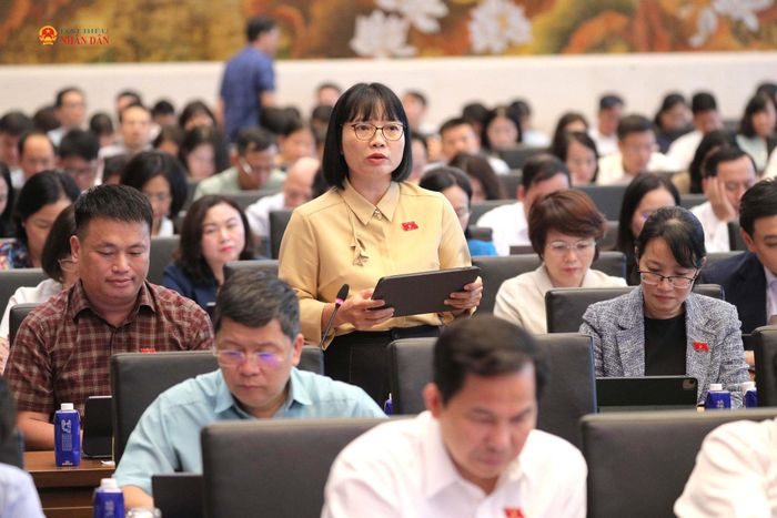 Phó Trưởng đoàn chuyên trách Đoàn ĐBQH TP. Hải Phòng Nguyễn Thị Việt Nga phát biểu. Ảnh: Hồ Long