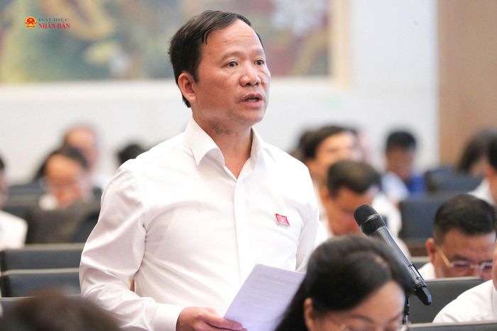 Phó Trưởng đoàn chuyên trách Đoàn ĐBQH tỉnh Lạng Sơn Nguyễn Đặng Ân phát biểu. Ảnh: Phạm Thắng