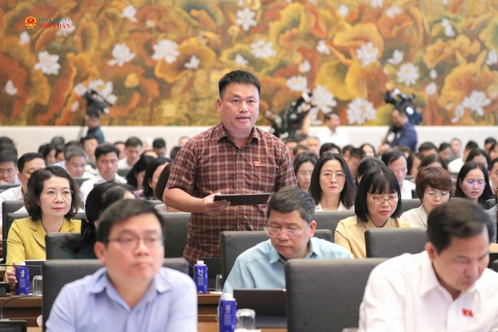 Phó Chủ nhiệm Ủy ban Công tác đại biểu Đặng Ngọc Huy phát biểu. Ảnh: Hồ Long