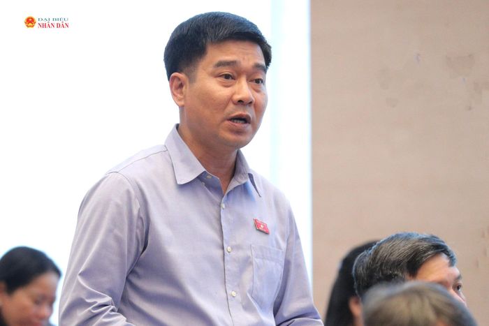 ĐBQH hoạt động chuyên trách tại Ủy ban Pháp luật và Tư pháp Lê Thanh Hoàn phát biểu. Ảnh: Hồ Long