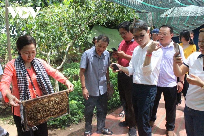 Vĩnh Long hiện có 13,4 nghìn doanh nghiệp hoạt động trên mọi lĩnh vực. Ảnh: Chay Tuy