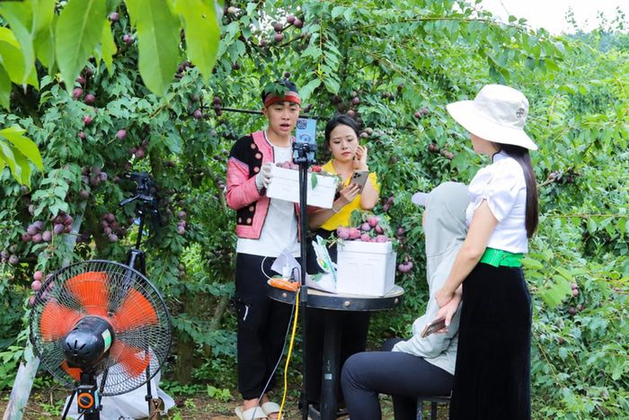 Nhiều HTX vùng dân tộc thiểu số và miền nứi đẩy mạnh ứng dụng công nghệ, thu hút khách mua nông sản và trải nghiệm.