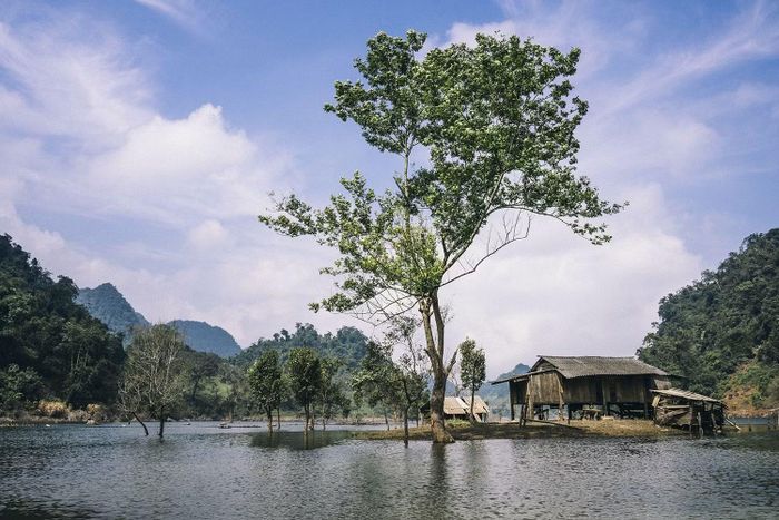 Hồ Tà Phình mênh mông giữa núi rừng Mộc Châu, mang vẻ đẹp bình yên, thơ mộng, níu chân du khách mỗi dịp thu về.