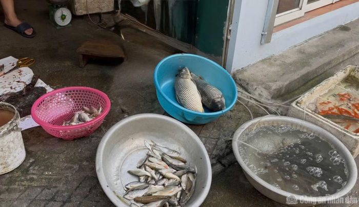 Cá đánh bắt được người dân bày bán trước cửa nhà hoặc mang ra ngã ba, ngã tư trong làng bán với các giá khác nhau, tuỳ từng loại cá.