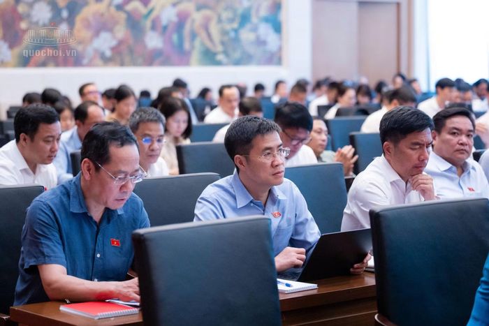 Các đại biểu dự hội nghị.