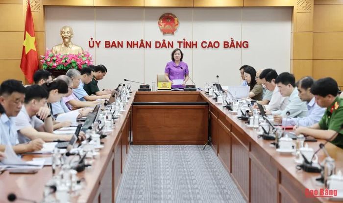 Phó Chủ tịch UBND tỉnh Hà Nhật Lệ kết luận phiên họp.