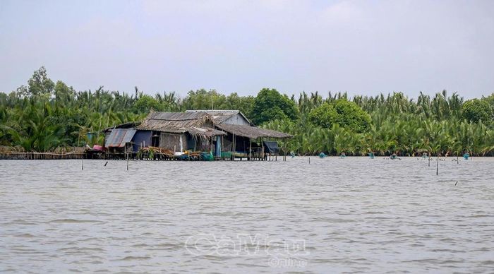 Khu vực nhà ở kết hợp nuôi trồng thuỷ sản của người dân ven Đầm Thị Tường.