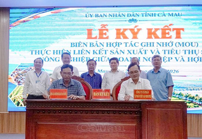 Dịp này, 6 biên bản thoả thuận hợp tác giữa doanh nghiệp và HTX được ký kết. (Trong ảnh: Các đồng chí nguyên lãnh đạo, lãnh đạo UBND tỉnh và các sở, ngành chứng kiến lễ ký biên bản thoả thuận hợp tác giữa đại diện doanh nghiệp và HTX).