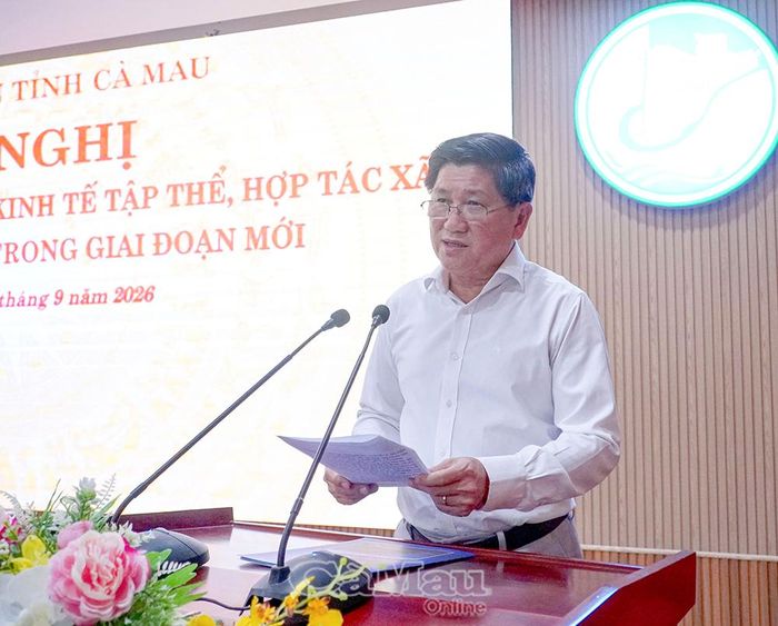 Đồng chí Lê Văn Sử, Phó Chủ tịch UBND tỉnh, phát biểu kết luận hội nghị.