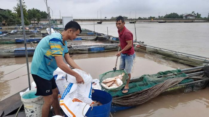 Hỗ trợ sau thiên tai không chỉ là giải pháp trước mắt mà còn cần gắn với khả năng phục hồi, thích ứng và giảm thiểu rủi ro trong tương lai. Ảnh: T.H