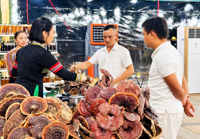 Các sản phẩm dược liệu được giới thiệu, kết nối với người tiêu dùng, góp phần mở rộng đầu ra và hình thành chuỗi giá trị từ vùng nguyên liệu đến thị trường. (Ảnh: QK)
