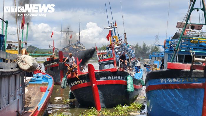 Khoảng 16h mỗi ngày, các tàu bắt đầu rời bến, di chuyển ra vùng biển cách bờ khoảng 12-15 hải lý để khai thác. Sau một đêm, mỗi tàu thường đánh bắt được từ 2-5 tấn cá cơm, một số tàu đạt khoảng 10 tấn.