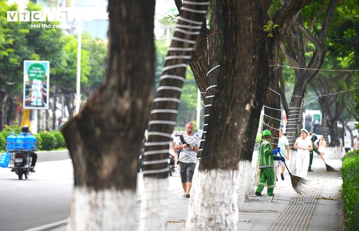 Dọc đường Trần Phú, cây xanh bao phủ xuyên suốt và được chăm chút, dọn dẹp sạch sẽ. Đây là điểm cộng lớn của Nha Trang trong mắt du khách.
