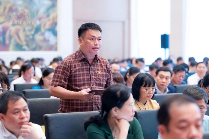 Đại biểu Đặng Ngọc Huy (Đoàn Quảng Ngãi) phát biểu thảo luận. Ảnh: quochoi.vn