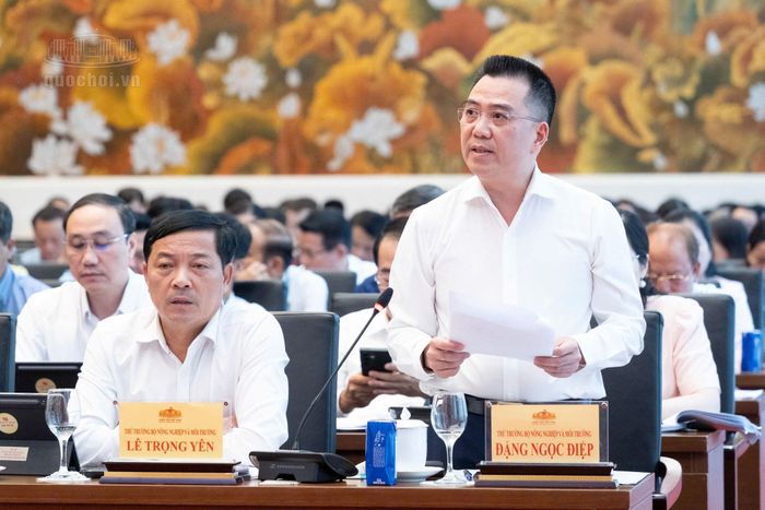 Thứ trưởng Bộ Nông nghiệp và Môi trường Đặng Ngọc Điệp tiếp thu ý kiến đại biểu về dự án Luật Tài nguyên, môi trường biển và hải đảo (sửa đổi). Ảnh: media.quochoi.vn