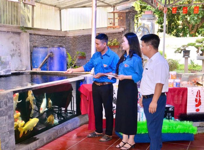 Anh Tô Văn Ngọc chia sẻ về mô hình nuôi và chăm sóc cá Koi. Ảnh: Phan Thanh