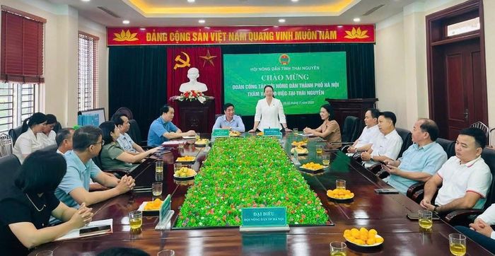 Phó Chủ tịch Ủy ban MTTQ Việt Nam thành phố, Chủ tịch Hội Nông dân thành phố Hà Nội Phạm Hải Hoa phát biểu tại buổi làm việc. Ảnh: Hải Yến 