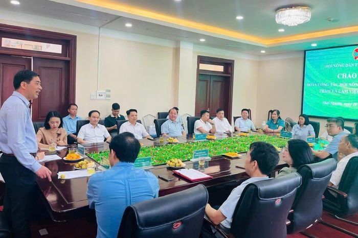 Chủ tịch Hội Nông dân tỉnh Thái Nguyên Phan Thanh Hà phát biểu tại buổi làm việc. Ảnh Hải Yến 