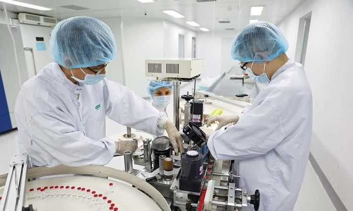 Phát triển công nghiệp dược, dược liệu có ý nghĩa quan trọng để bảo đảm an ninh y tế. Ảnh: BDT.