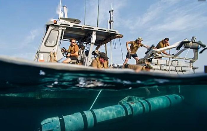 Iran sau đó tuyên bố sẽ phân tích ngược chiếc Dive-LD. Tehran từ lâu đã quan tâm tới kỹ thuật đảo ngược các khí tài phương Tây thu giữ được.