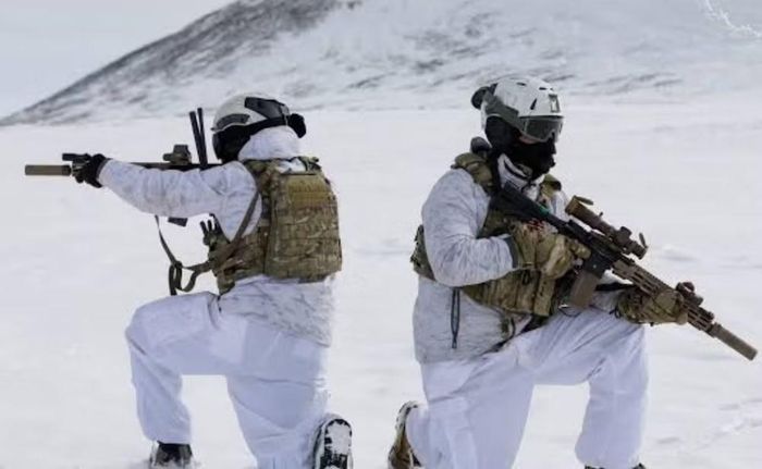 Narsarsuaq nằm ở phía nam Greenland, từng là căn cứ không quân Mỹ trong thời kỳ Chiến tranh Lạnh trước khi đóng cửa vào năm 1958.