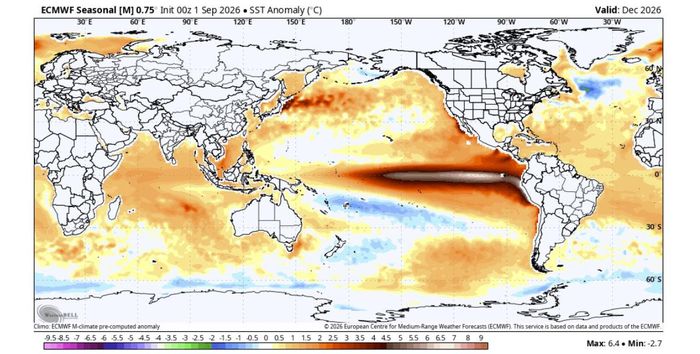  Dự báo nhiệt độ tháng 12 cho thấy tác động đáng kể của Siêu El Niño trên khắp các đại dương toàn cầu. Ảnh: Severe Weather Europe. 