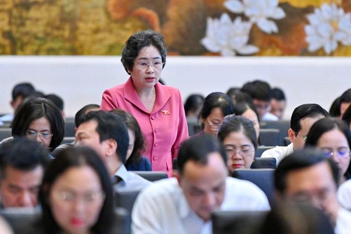 Đại biểu Lò Thị Luyến, Phó Trưởng đoàn ĐBQH chuyên trách tỉnh Điện Biên phát biểu