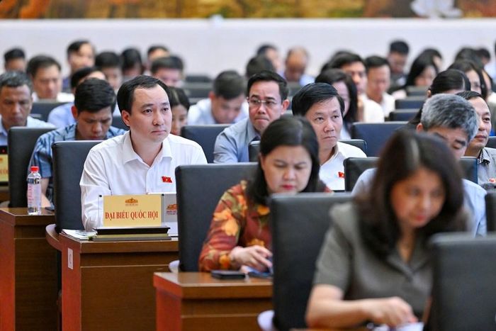 Các đại biểu dự Hội nghị