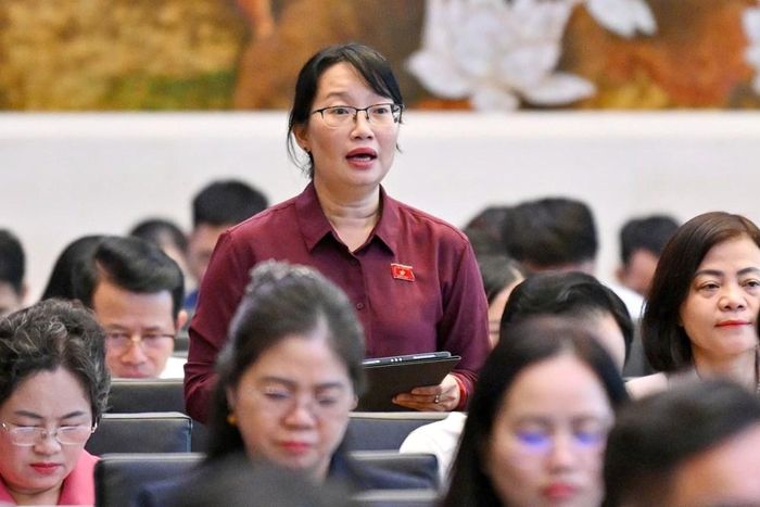 Đại biểu Trần Thị Diệu Thúy, Phó Trưởng đoàn chuyên trách đoàn Đại biểu Quốc hội Thành phố Hồ Chí Minh phát biểu