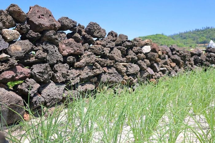 Bờ đá cao giúp giữ đất, hạn chế rửa trôi và chắn gió cho ruộng đồng