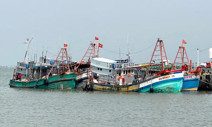 Những tàu cá vi phạm IUU bị Vùng Cảnh sát biển 3 tạm giữ vào tháng 8/2026. (Ảnh: Cảnh sát biển cung cấp)