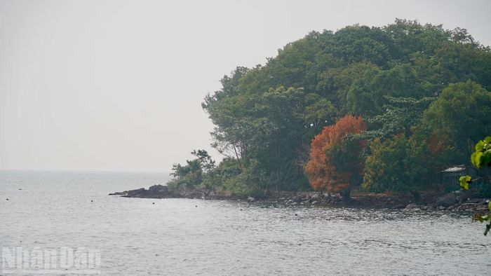 Một góc đảo Hòn Đốc.