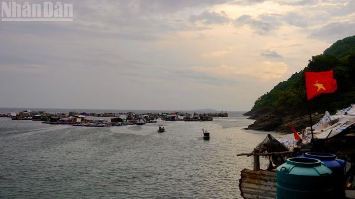 Người dân tại Hòn Chuối chủ yếu làm nghề nuôi cá lồng bè và đánh bắt thủy sản.