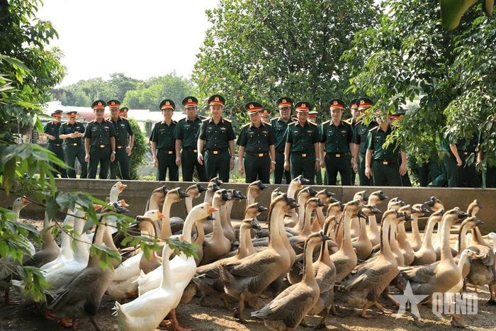 Đại biểu các đơn vị thuộc Tổng cục Hậu cần-Kỹ thuật tham quan khu tăng gia tập trung của Kho J106, Cục Xe máy-Vận tải. Ảnh: THĂNG BẢY