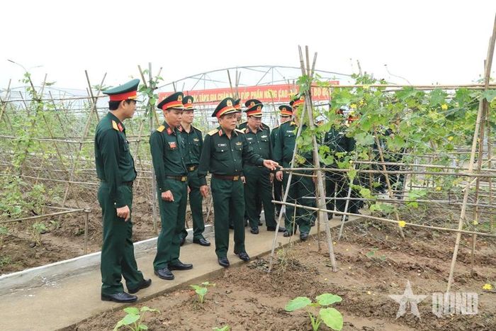 Thủ trưởng Tổng cục Hậu cần-Kỹ thuật kiểm tra khu tăng gia tập trung tại Lữ đoàn 971, Cục Xe máy-Vận tải (tháng 11-2025). Ảnh: THĂNG BẢY