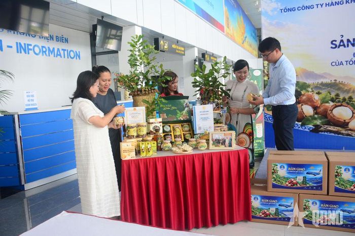 Đại biểu và du khách tham quan, mua sắm các sản phẩm mắc ca tại Cảng Hàng không Điện Biên.