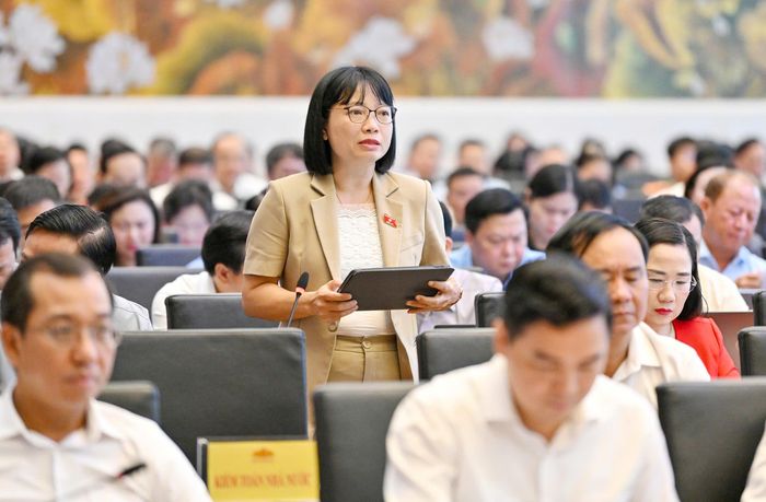 ĐB Nguyễn Thị Việt Nga (Hải Phòng) nêu ý kiến tại hội nghị. Ảnh: VIẾT CHUNG