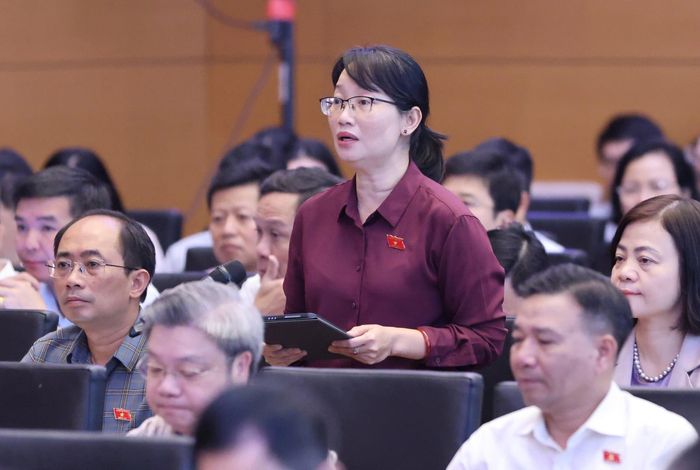  ĐB Trần Thị Diệu Thúy, Phó Trưởng Đoàn chuyên trách Đoàn ĐB Quốc hội TPHCM, nêu ý kiến tại hội nghị. Ảnh: QUANG PHÚC 